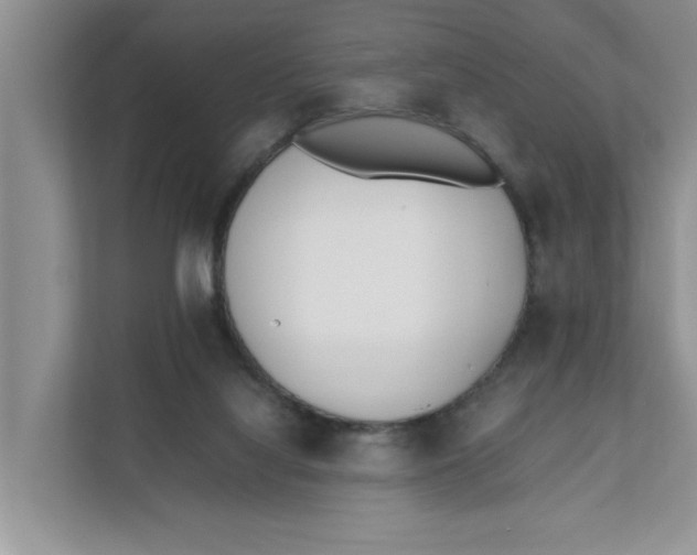 X0000111850068200908131447