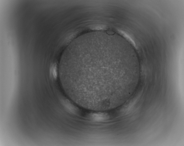 X0000111850069200908131447