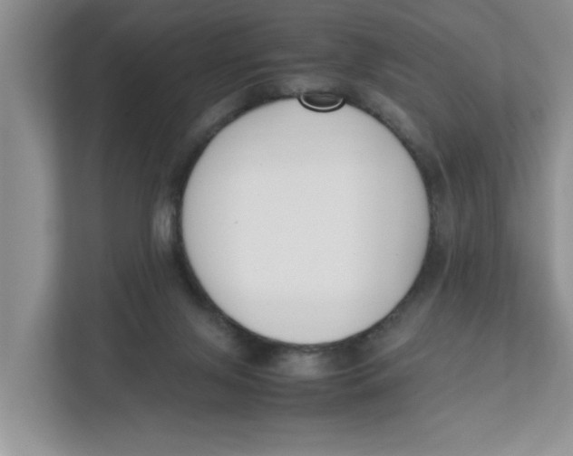 X0000111850071200908131447