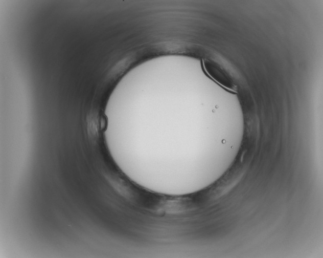 X0000111850072200908131447