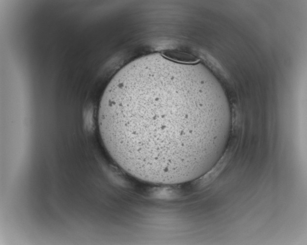 X0000111850074200908131447