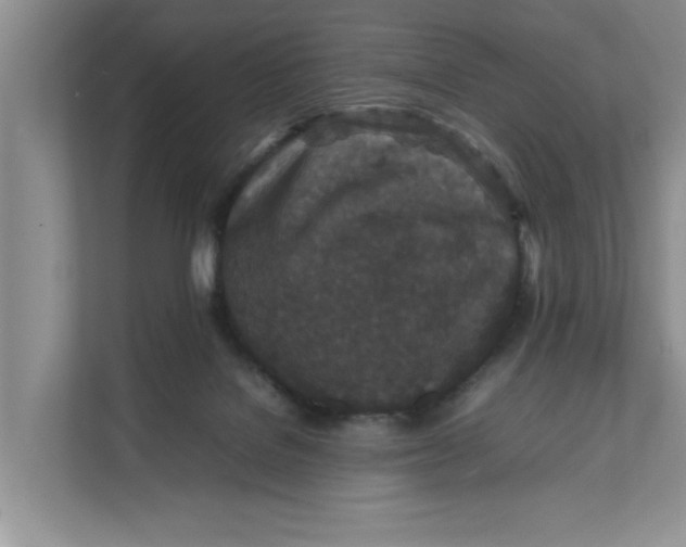 X0000111850076200908131447