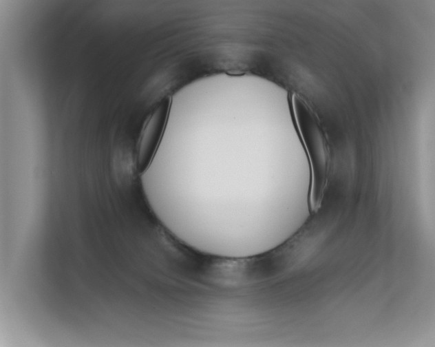 X0000111850084200908131447