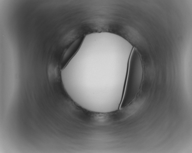 X0000111850088200908131447