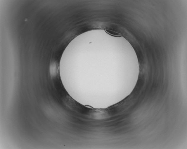 X0000111850095200908131447