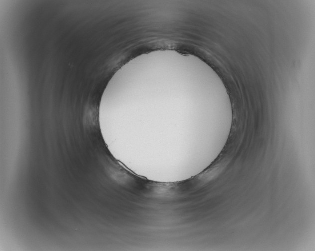 X0000111850096200908131447