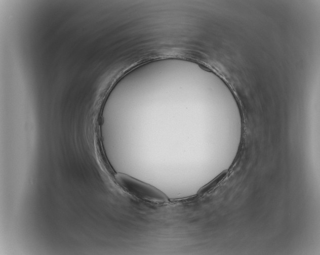 X0000111850097200908131447