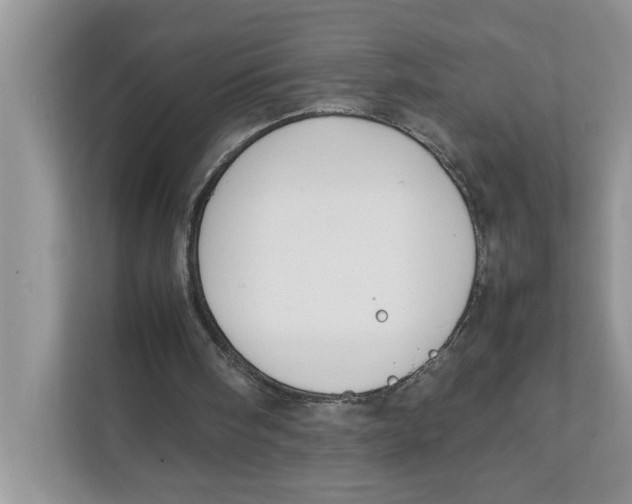 X0000111850098200908131447