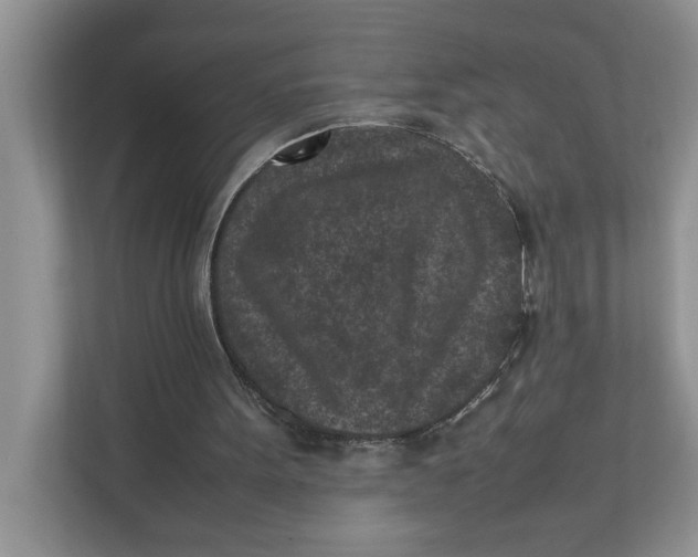 X0000111850099200908131447