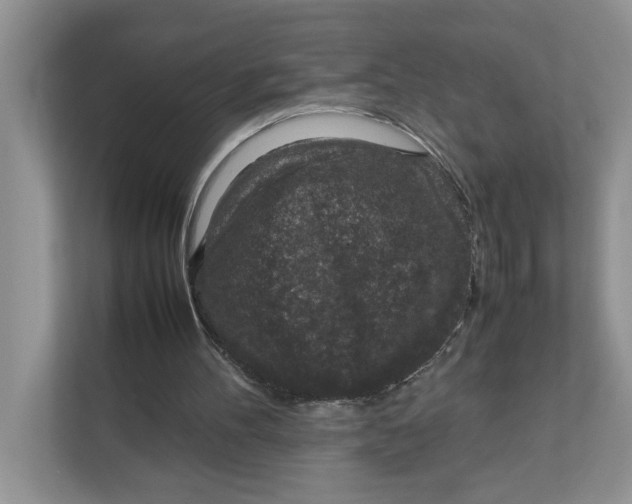 X0000111850100200908131447