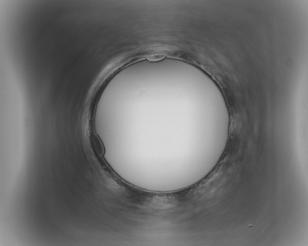 X0000111850101200908131447