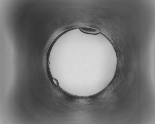 X0000111850103200908131447