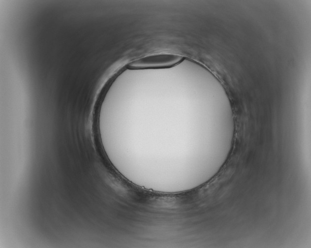 X0000111850104200908131447