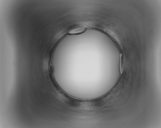 X0000111850105200908131447