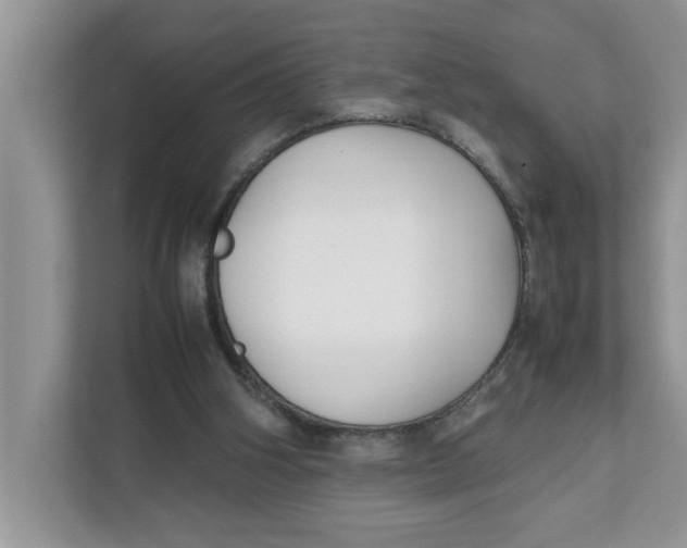 X0000111850106200908131447