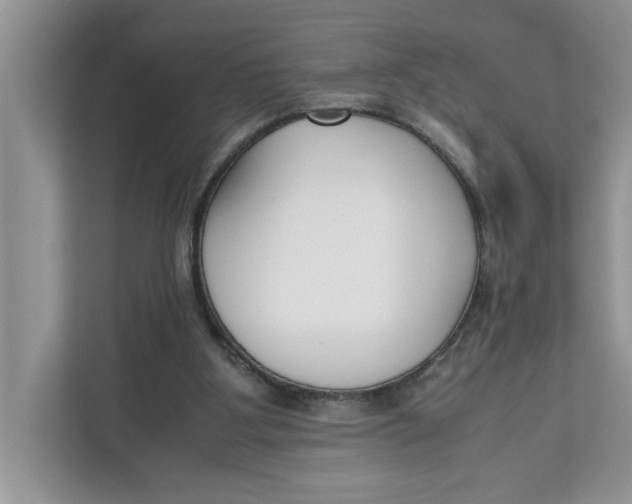 X0000111850107200908131447