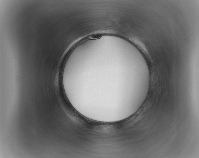 X0000111850108200908131447