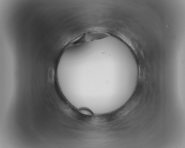 X0000111850109200908131447