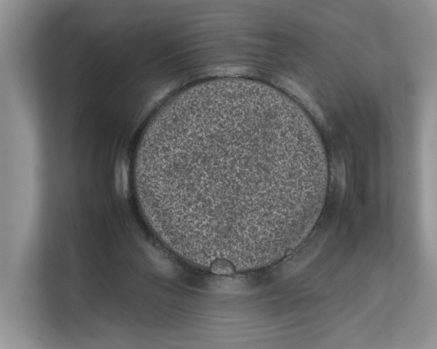 X0000111850110200908131447