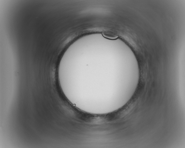 X0000111850111200908131447