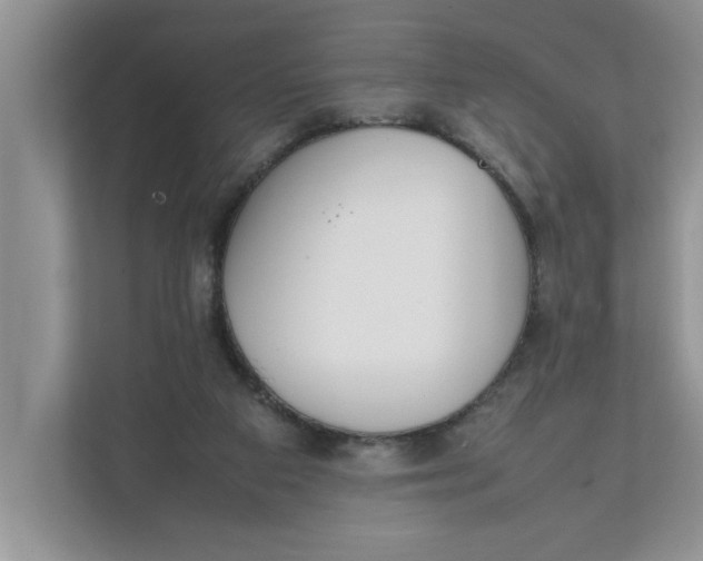 X0000111850113200908131447