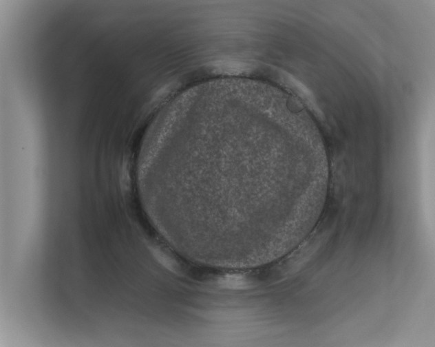 X0000111850114200908131447