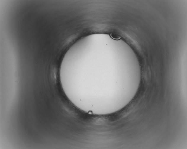 X0000111850115200908131447