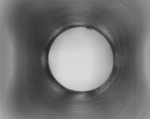 X0000111850116200908131447