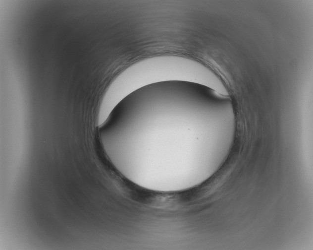 X0000111850117200908131447