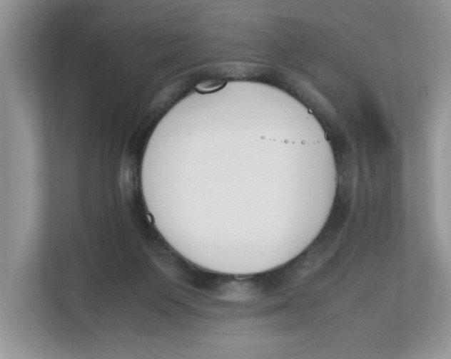 X0000111850119200908131447