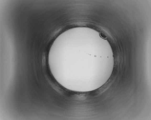 X0000111850120200908131447