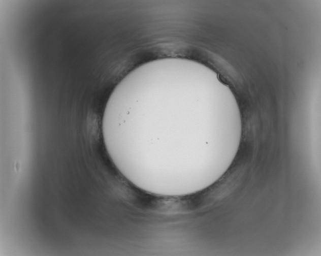 X0000111850121200908131447