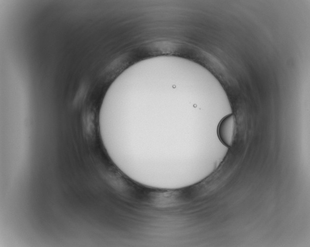 X0000111850122200908131447