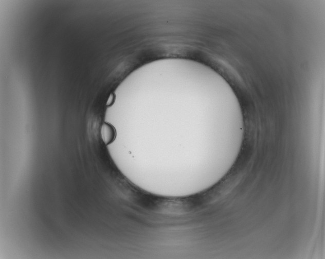 X0000111850123200908131447