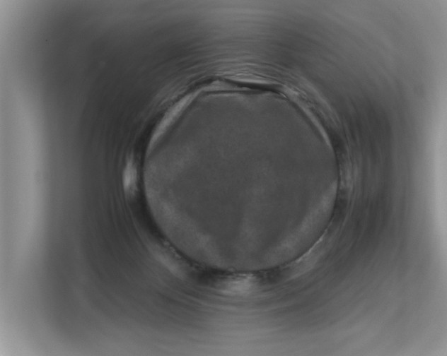 X0000111850124200908131446