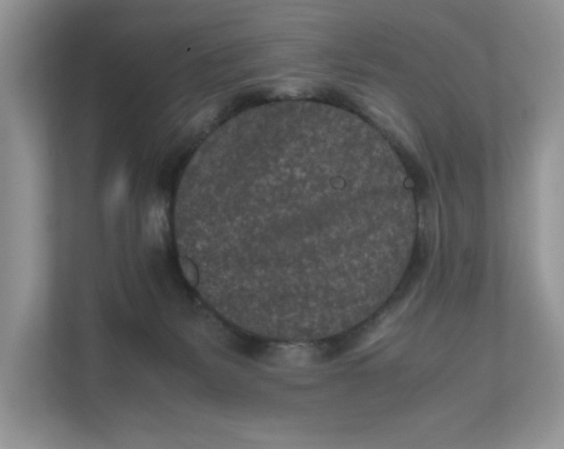 X0000111850127200908131446