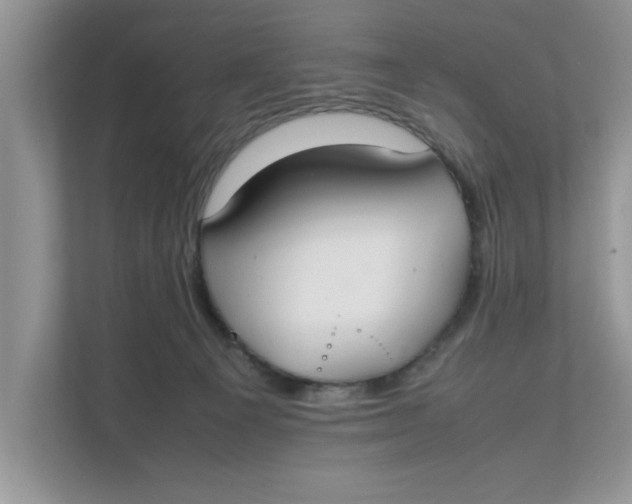 X0000111850129200908131446