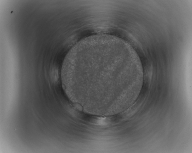 X0000111850130200908131446