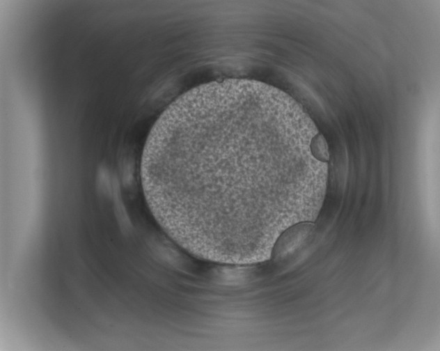 X0000111850134200908131446