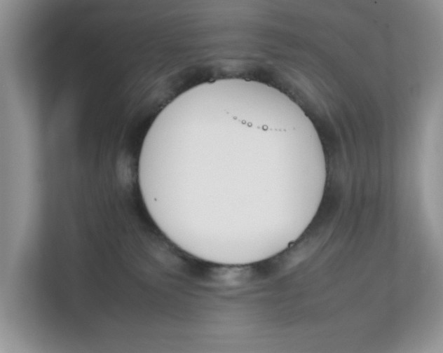 X0000111850135200908131446