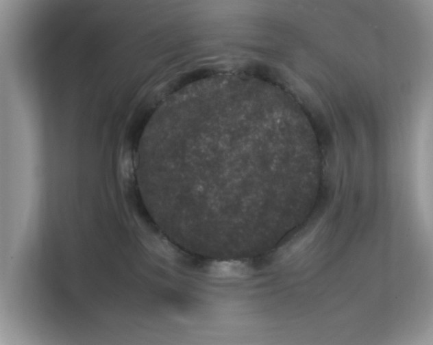 X0000111850137200908131446