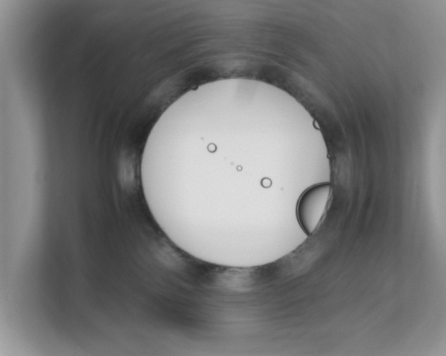 X0000111850138200908131446