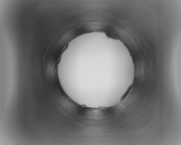 X0000111850140200908131446