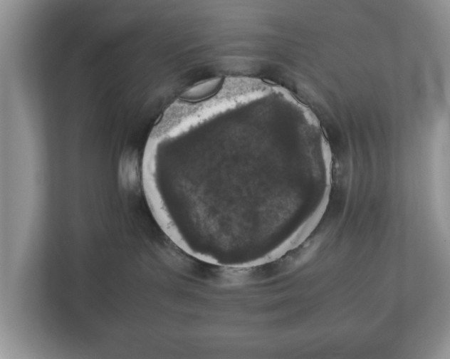 X0000111850143200908131446