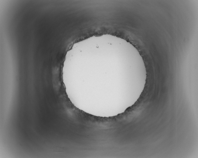 X0000111850144200908131446