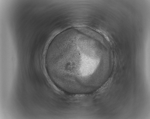 X0000111850145200908131446