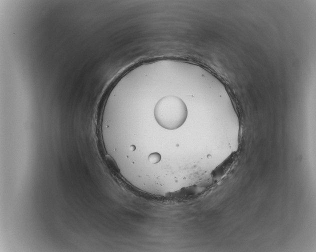 X0000111850146200908131446