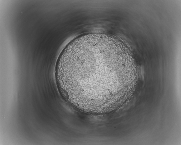 X0000111850147200908131446