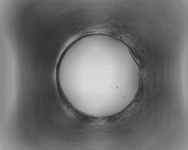 X0000111850148200908131446