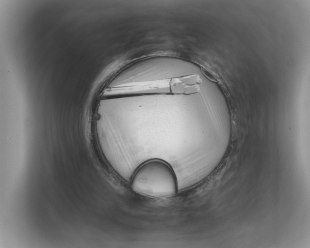 X0000111850149200908131446